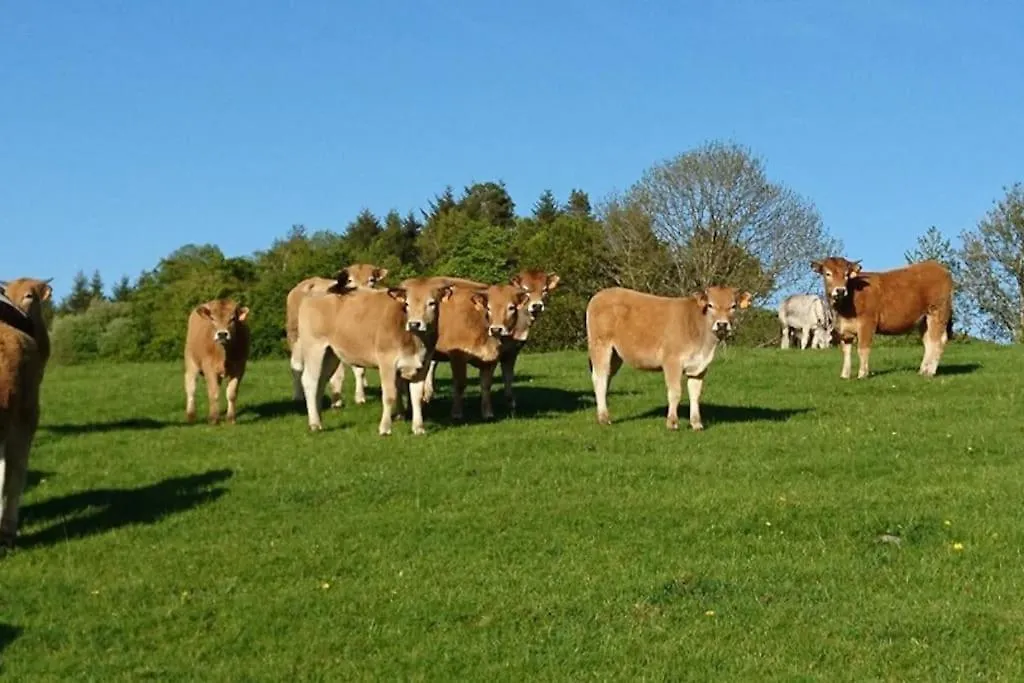 Hébergement de vacances Gite A La Ferme Au Coeur De L'Auvergne Saint-Hippolyte  France