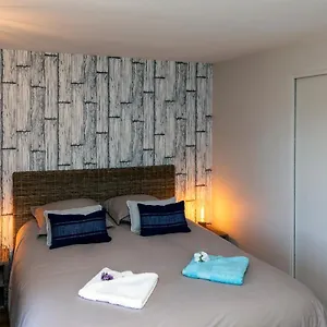  Appartement T2 Meuble De 40m2 Axe Annecy/geneve